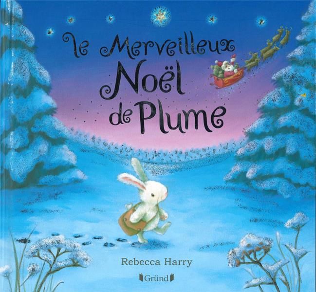 Emprunter Le merveilleux Noël de Plume livre