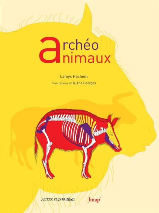 Emprunter Archéo animaux. L'incroyable histoire de l'archéologie des animaux livre