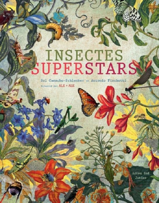 Emprunter Insectes superstars livre