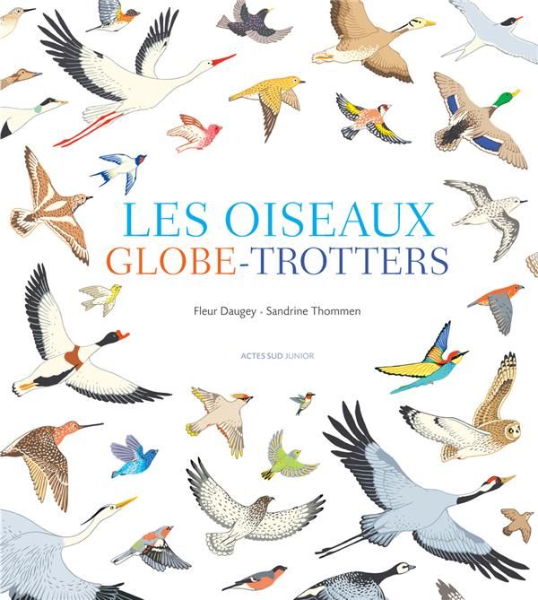 Emprunter Les oiseaux globe-trotters livre