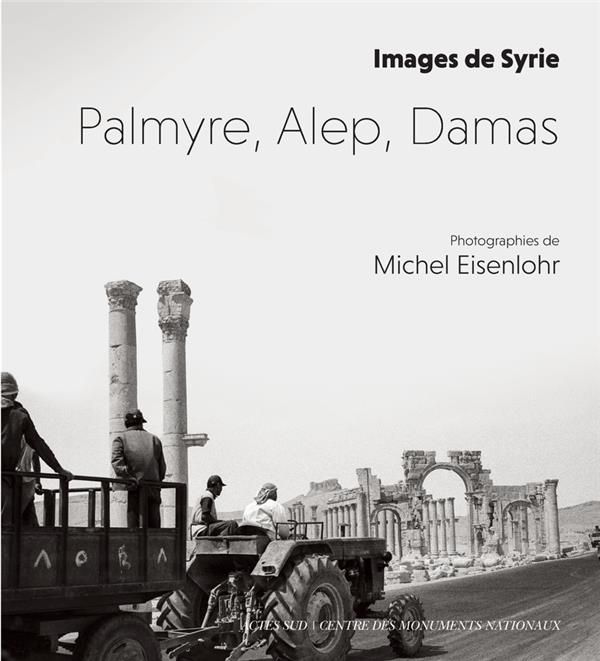 Emprunter Palmyre, Alep, Damas. Images de Syrie livre