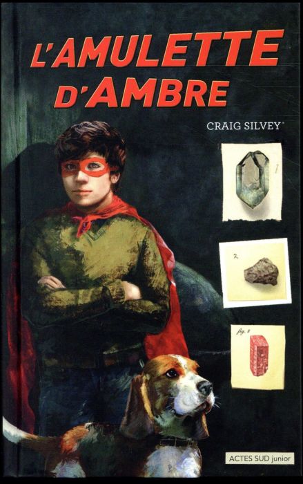 Emprunter L'amulette d'ambre livre