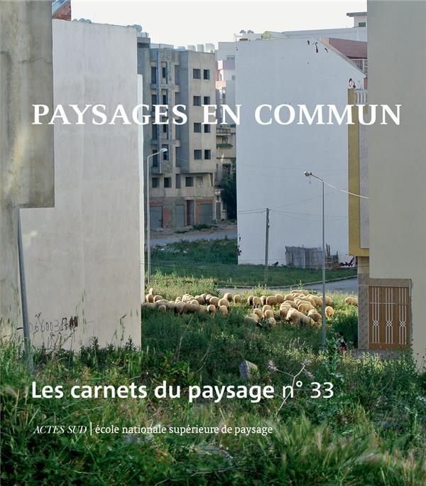 Emprunter Les carnets du paysage N° 33 : Paysages en commun livre