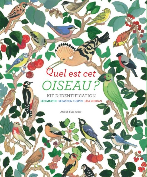 Emprunter Quel est cet oiseau ? Kit d'identification livre