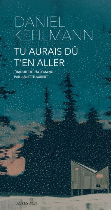 Emprunter Tu aurais dû t'en aller livre