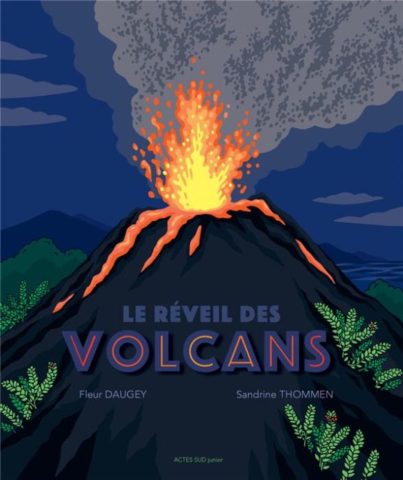 Emprunter Le réveil des volcans livre