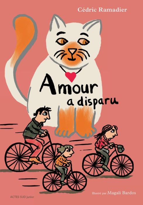 Emprunter Amour a disparu livre