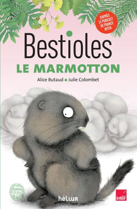 Emprunter Le marmotton livre