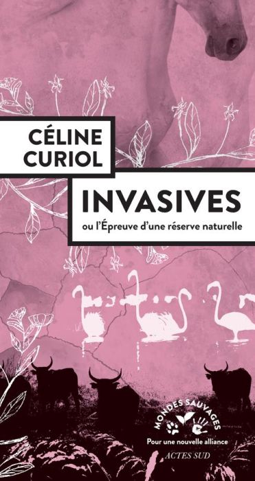 Emprunter Invasives. Ou l'épreuve d'une réserve naturelle livre