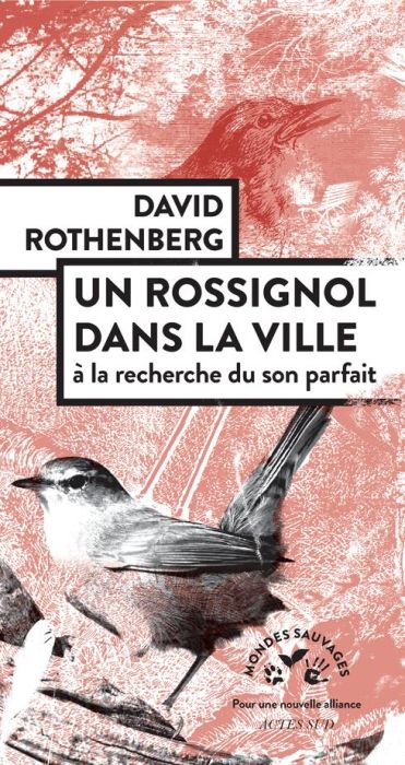 Emprunter Un Rossignol dans la ville. A la recherche du son parfait livre