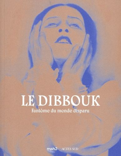 Emprunter Le dibbouk. Fantôme du monde disparu livre