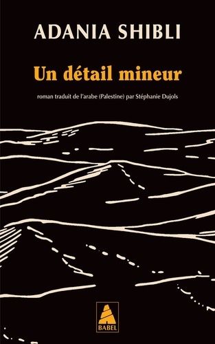 Emprunter Un détail mineur livre