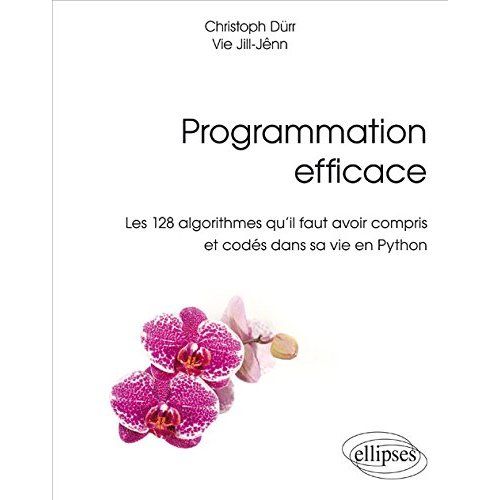 Emprunter Programmation efficace. Les 128 algorithmes qu'il faut avoir compris et codés en Python au cours de livre