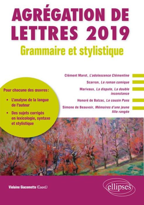 Emprunter Agrégation de lettres. Grammaire et stylistique, Edition 2019 livre