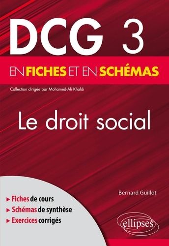 Emprunter Le droit social en fiches et en schémas DCG 3 livre