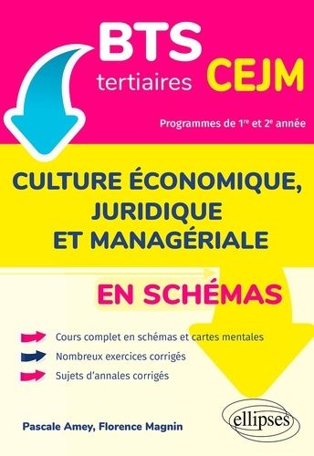 Emprunter Culture économique, juridique et managériale en schémas BTS tertiaires CEJM livre