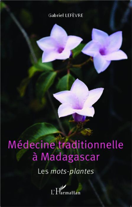 Emprunter Médecine traditionnelle à Madagascar. Les mots-plantes livre