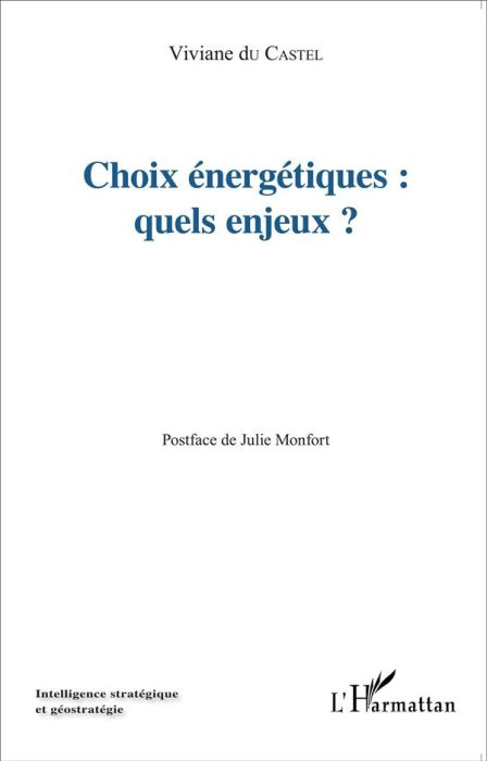 Emprunter Choix énergétiques : quels enjeux ? livre