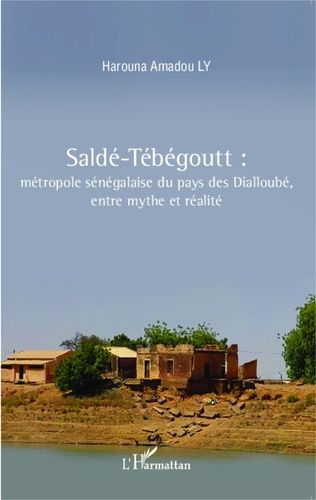 Emprunter Saldé-Tébégoutt. Métropole sénégalaise du pays des Dialloubé, entre mythe et réalité livre