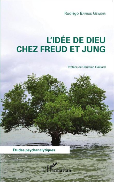 Emprunter L'idée de Dieu chez Freud et Jung livre