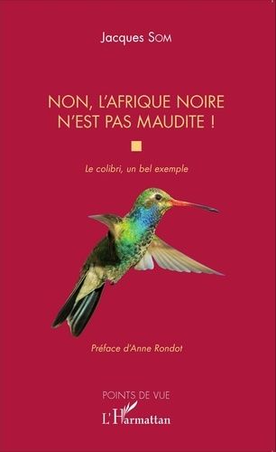 Emprunter Non, l'Afrique noire n'est pas maudite ! Le colibri, un bel exemple livre