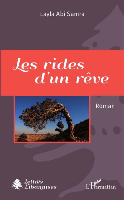 Emprunter Les rides d'un rêve livre