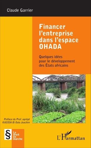 Emprunter Financer l'entreprise dans l'espace OHADA. Quelques idées pour le développement des Etats africains livre