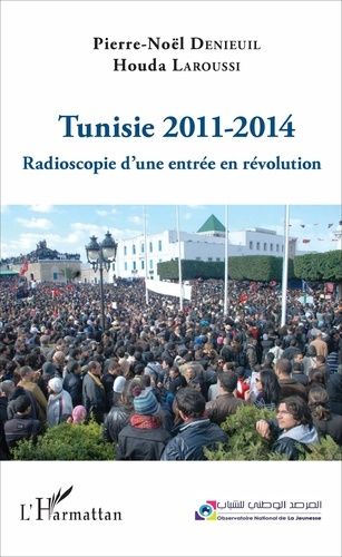 Emprunter Tunisie 2011-2014. Radioscopie d'une entrée en révolution livre