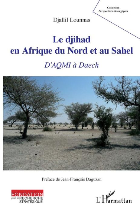 Emprunter Le djihad en Afrique du Nord et au Sahel. D'AQMI à Daech livre