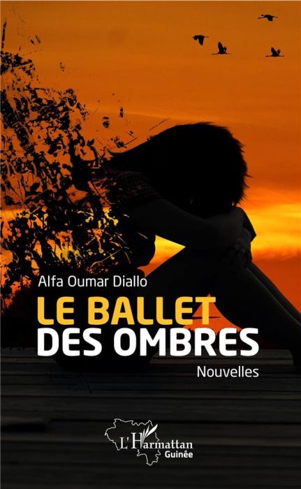 Emprunter Le ballet des ombres livre