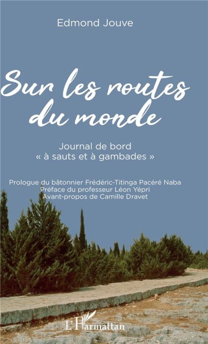 Emprunter Sur les routes du monde. Journal de bord 