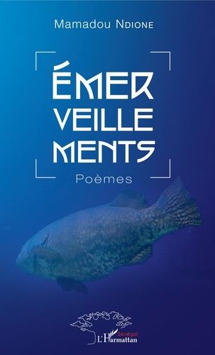 Emprunter Emerveillements livre