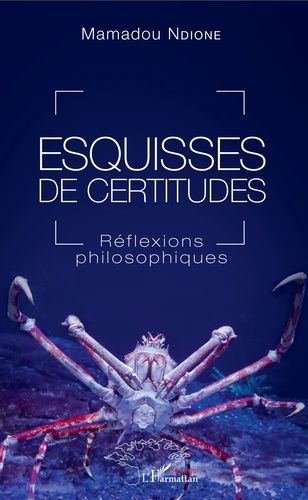 Emprunter Esquisses de certitudes. Réflexions philosophiques livre