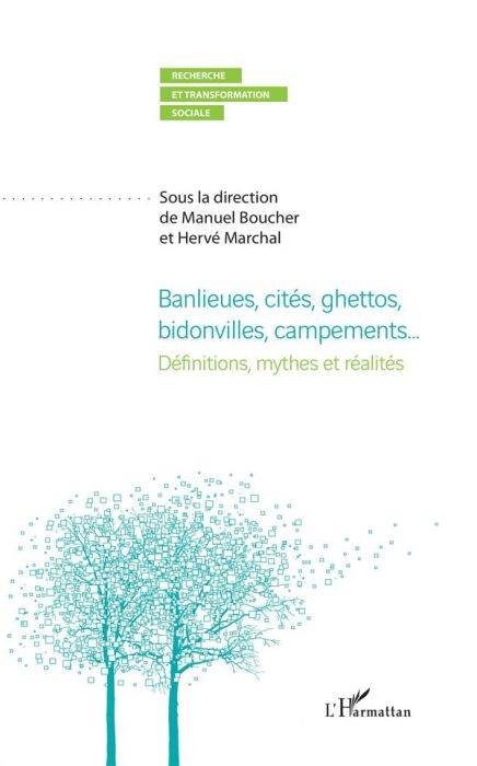 Emprunter Banlieues, cités ghettos, bidonvilles, campements... Définitions, mythes et réalités livre