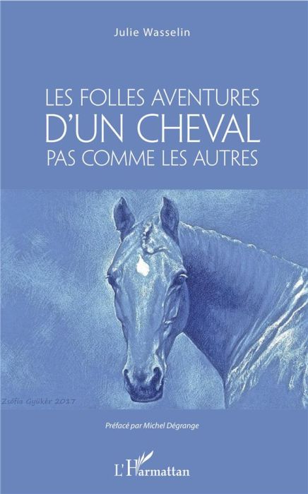 Emprunter Les Folles aventures d'un cheval pas comme les autres livre