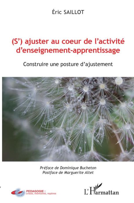 Emprunter (S')ajuster au coeur de l'activité d'enseignement-apprentissage. Construire une posture d'ajustement livre