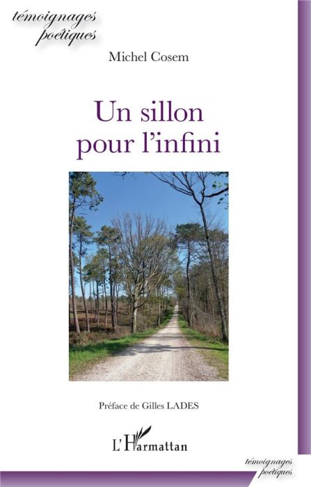 Emprunter Un sillon pour l'infini livre