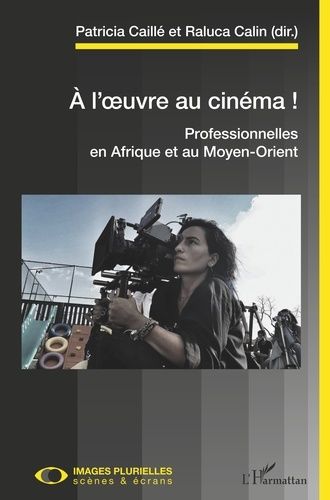 Emprunter A l'oeuvre au cinéma ! Professionnelles en Afrique et au Moyen-Orient, Textes en français et anglais livre