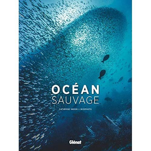 Emprunter Océan sauvage livre