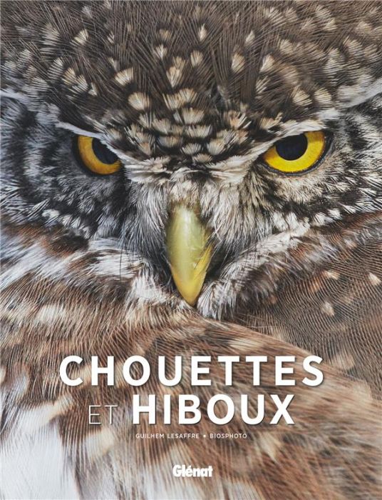 Emprunter Chouettes et hiboux livre