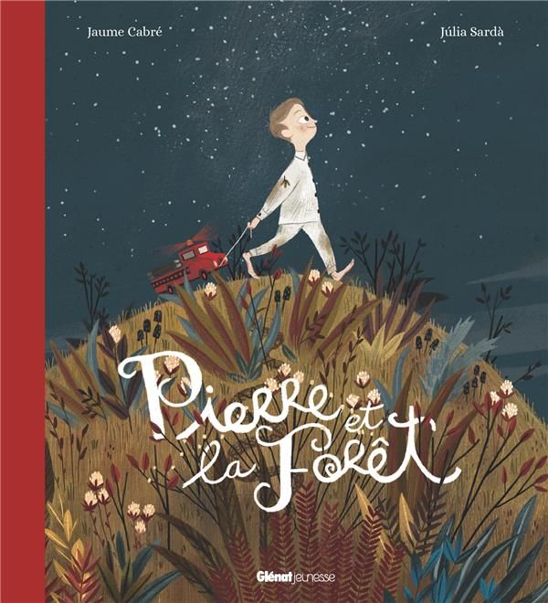 Emprunter Pierre et la forêt livre