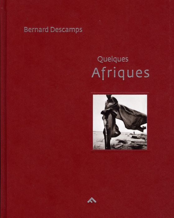 Emprunter Quelques Afriques livre