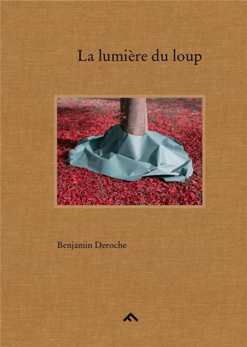 Emprunter La lumière du loup livre