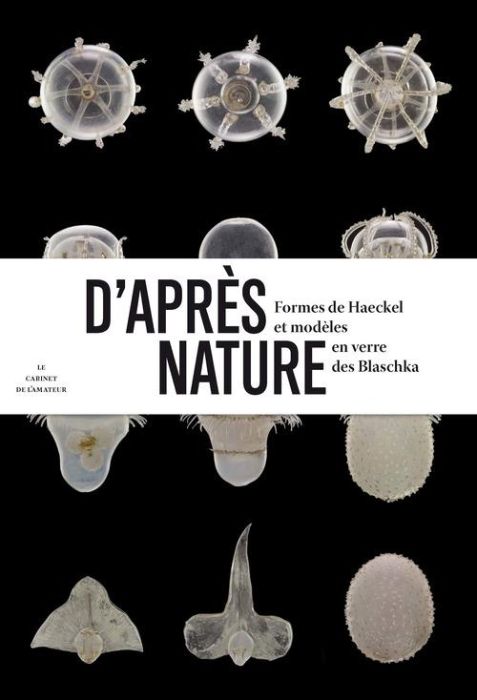 Emprunter D'après nature. Formes de Haeckel et modèles en verre des Blaschka livre