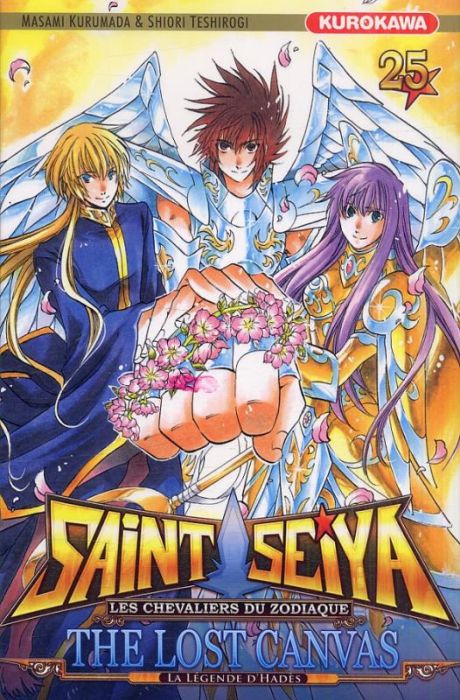 Emprunter Saint Seiya - The Lost Canvas : La légende d'Hadès Tome 25 livre