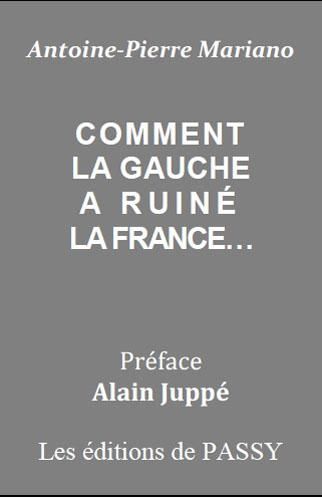 Emprunter Comment la gauche a ruiné la France... livre