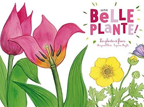 Emprunter Une belle plante. Les plantes à fleurs livre