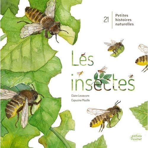 Emprunter Les insectes livre