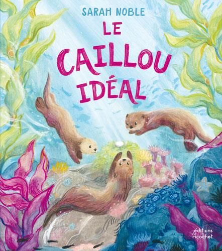 Emprunter Le caillou idéal livre