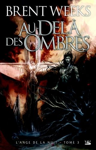 Emprunter L'ange de la nuit Tome 3 : Au-delà des ombres livre